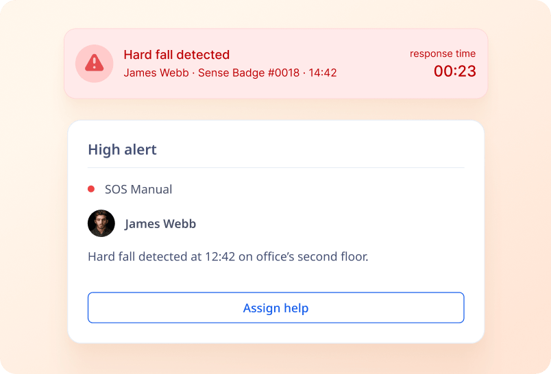 Fall Detection & Motion Alerts screenshot